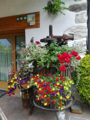Agriturismo La Decima Trento